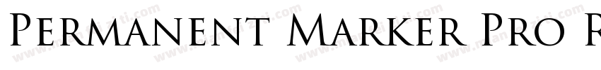 Permanent Marker Pro Regula字体转换